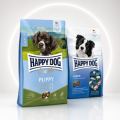 Happy Dog Young