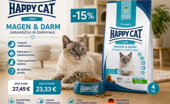 Happy Cat Young