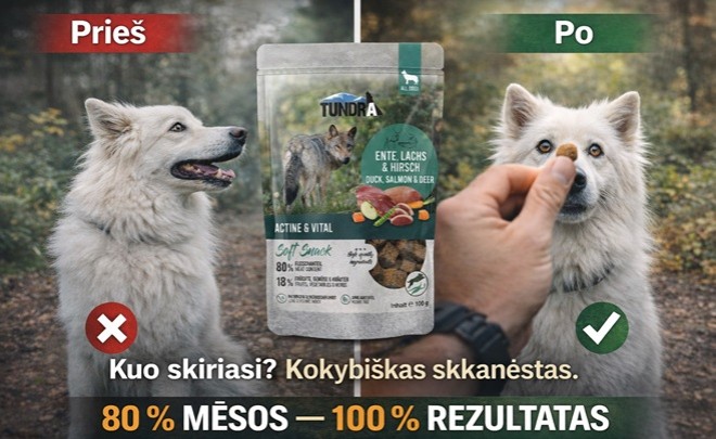 Tundra Snack