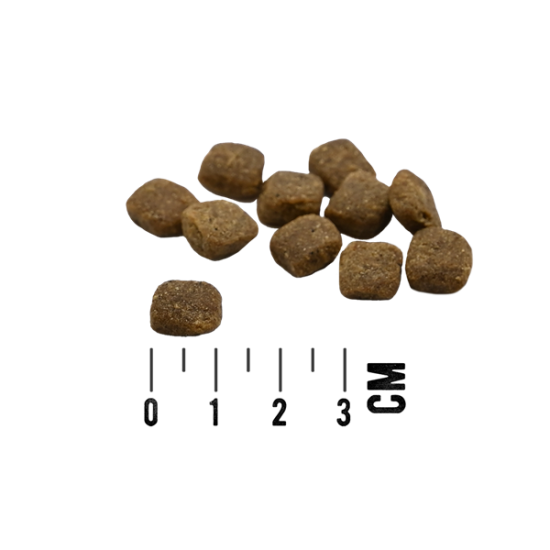 MAC's Dog Mono Soft - Frisches Lamm - Полувлажный корм для собак с ягненком