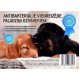 Absorbent pads for dogs - Yantai Glad Pet