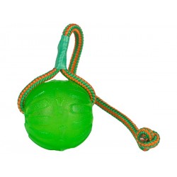 Toy for dogs - Starmark Swing n' Fling Chew Ball