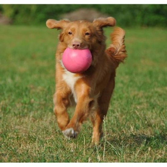 Jolly Pets Bounce-n-Play (4,5")